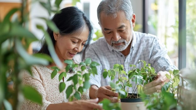 Couple caring houseplants at home. Asian mature man and woman with green plants. AI Generated