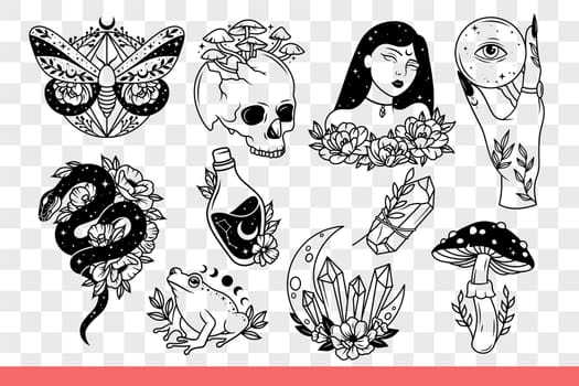 Occult and esoteric symbolism with flowers or mushrooms, for designs about mysticism or witchcraft. Occult woman and frog near ritual rubies and dangerous snake or magic potion. Hand drawn.