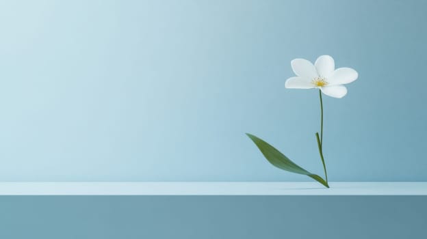 White flower on blue background with space for text, concept of simplicity, AI Generated
