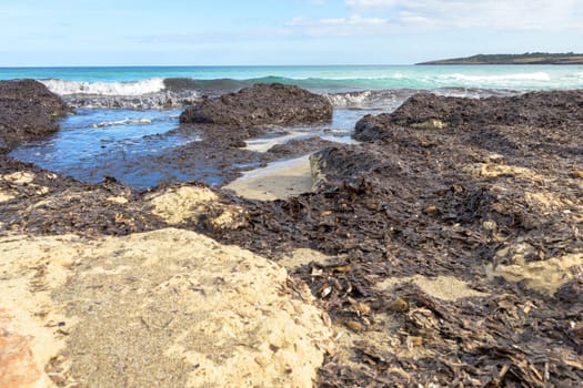 Rocky shoreline with seaweed and ocean waves, sand visible on the beach, mallorca balearic islands, spain