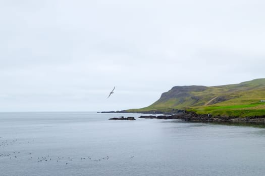 Borgarfjordur fjord view, east Iceland. Icelandic landscape