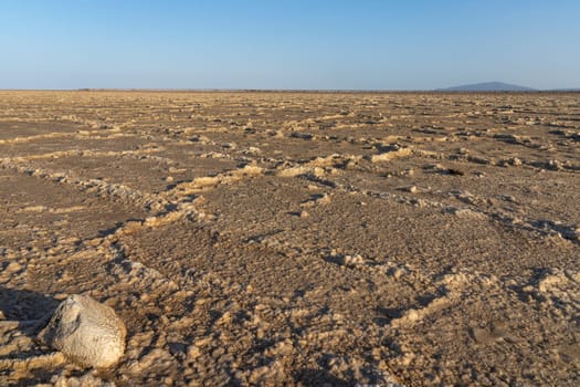 The salt plains of Asale Lake in the Danakil Depression in Ethiopia in Africa.