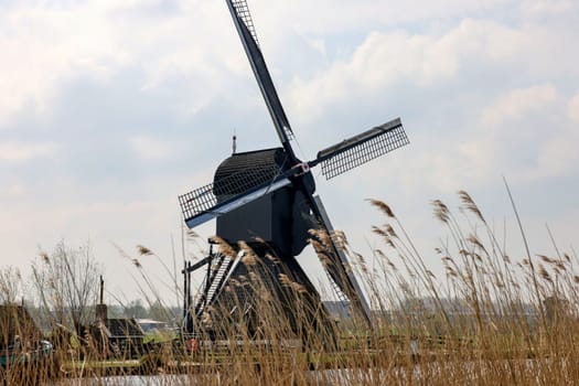 One of the 19 windmills at Kinderdijk in the Netherlands. Built about 1740, this is the largest concentration of windmills in the Netherlands, a UNESCO world heritage site.