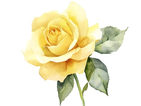 Botanical Yellow Watercolor Rose Floral Flower