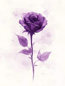 Botany Purple Watercolor Rose Nature Floral Flower