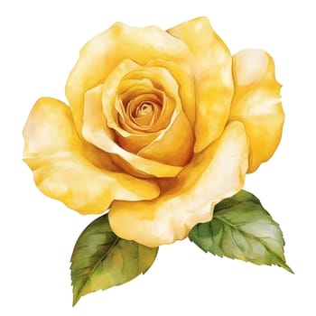 Botanical Yellow Watercolor Rose Floral Flower