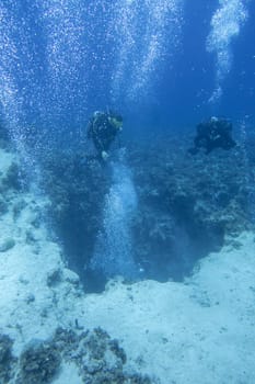 Two scuba divers with the equipment over colorful coral reef on the bottom of tropical sea at great depth, underwater landcape. View of famous canyon