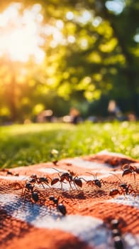 A group of ants navigate across red soil in a park, with golden sunlight illuminating the scene and blurred greenery in the background.