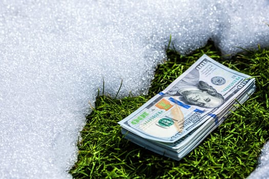 A bundle of cash lying on a snow surface near thawed green grass patch, vividly illustrating themes of financial waste and missed opportunities