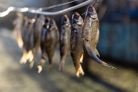 salted fish drying on a rope outside at sunny morning