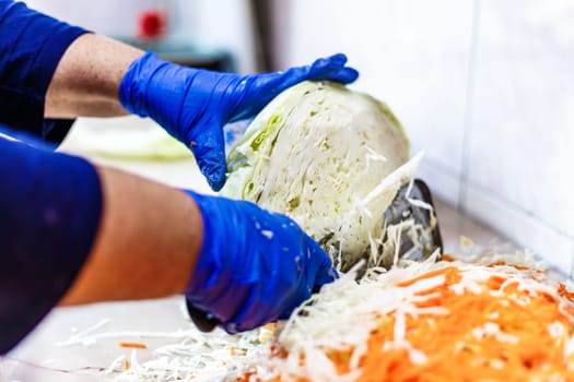 hands in blue gloves cutting cabbage with special double blade slit cabbage shredder knife during sauerkraut preparation