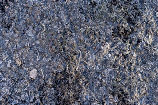 last years autumn leaves covered with morning frost, full-frame closeup background with high angle view