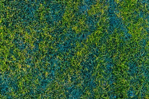green grass lawn covered with morning hoarfrost texture and full-frame background