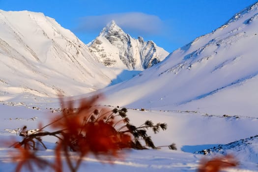 Baikal mountains in winter in snow. Forest in snow-covered mountains.