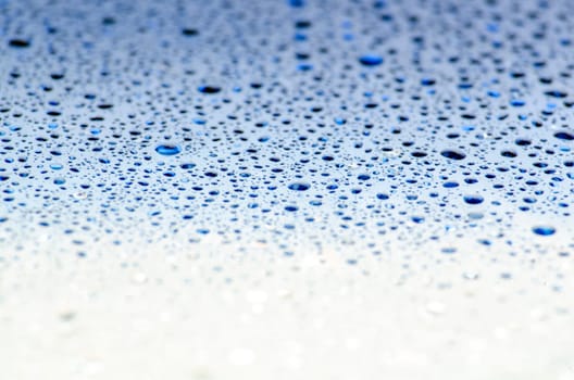 Water droplets on gradient cover background. Water droplets concept
