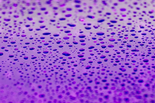 Water droplets on purple color cover background. Water droplets concept.