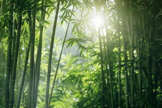 A serene bamboo grove, with tall stalks rustling in the breeze