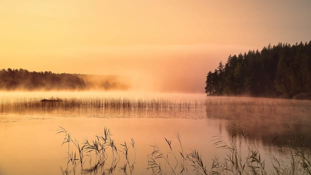 Sunrise with fog forming over a lake in Sweden, at dawn. Romantic silence, in the Scandinavian nature