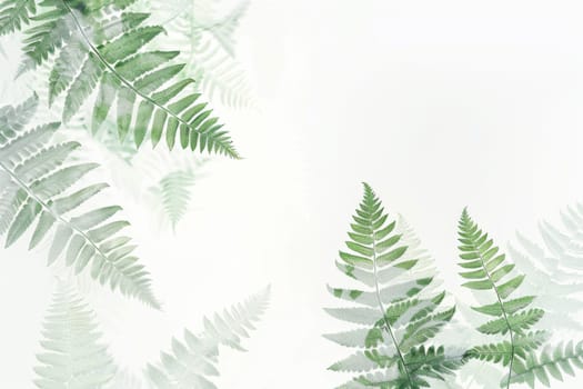 A white background with green leaves on it. The leaves are in different sizes and shapes. The image has a calming and peaceful mood