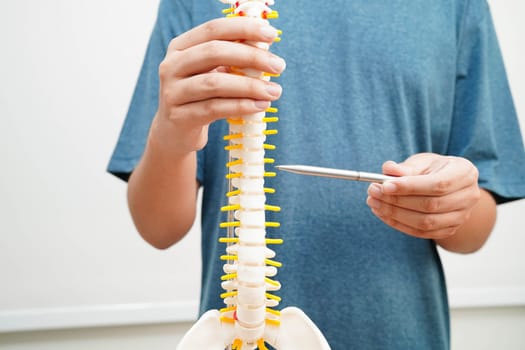 Asian student learning with human bone and spinal nerve model in anatomy biology in classroom at high school.
