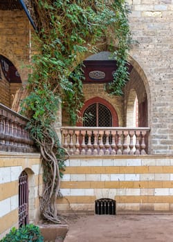 Historic courtyard with arches, balconies, and ornate details. A vine cascades down the wall, adding a touch of nature to the scene