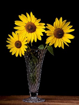 A close up still life photo of yellow sunflowers in a glass vase.