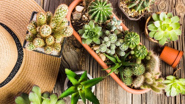 top view gardening tools wooden floor. High resolution photo