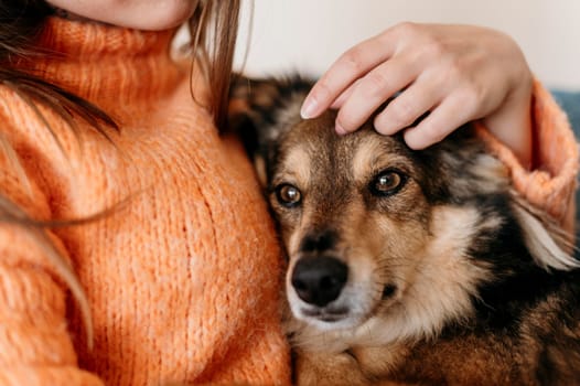 woman petting adorable dog. High resolution photo