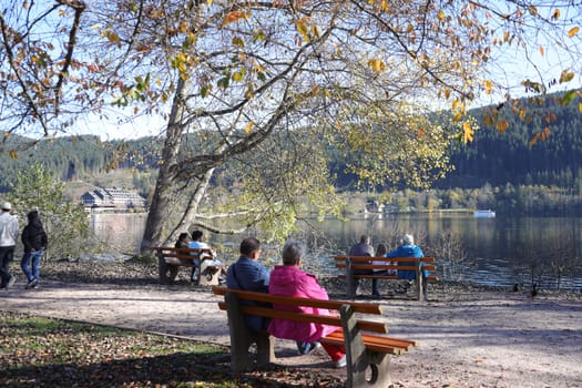 Fantastic autumn day at Lake Titisee (district-Breisgau-Hochschwarzwald). On the All Saints' Day holiday,countless excursionists from Germany and abroad took advantage of the mild late summer weather to take a trip to Lake Titisee with sunbathing on the lakeshore or to take a last trip on the large excursion boat on Lake Black Forest  Autumn atmosphere at the Isteiner Schwellen on the Rhine near Efringen-Kirchen (Lörrach district). In bright sunshine,numerous excursionists from Germany and abroad took advantage of the beautiful late summer weather on Sunday to take a trip to the Rhine.