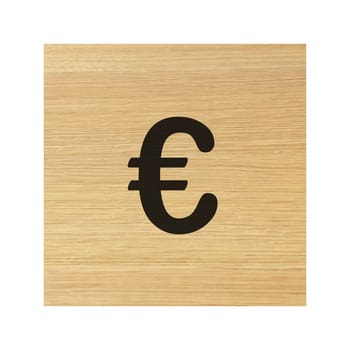A Euro currency sign on childs wood block on white with clipping path to remove shadow