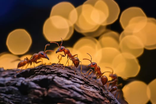 A group of ants is seen marching along a log while a blurred background with soft glowing lights creates an enchanting atmosphere.