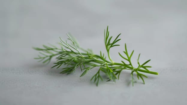 Basic and elegant spin of a piece of dill