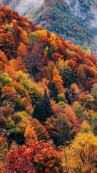 Colorful autumn landscapes ablaze with foliage