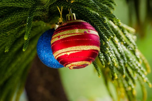 Seasons Greetings with Christmas balls on Pine Tree. Christmas concept.