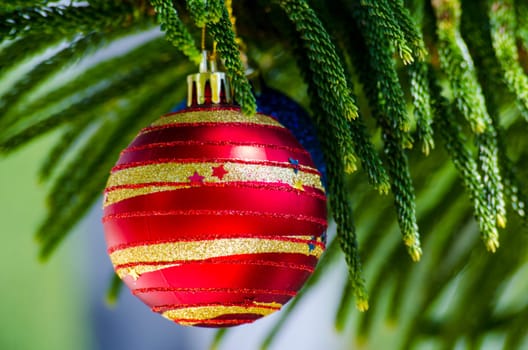 Seasons Greetings with Christmas ball on Pine Tree. Christmas time concept.