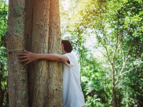 Human hands are hugging a tree in love. Representing helping to preserve the environment. Concept of saving the world.