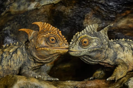 Two realistic dinosaur like creatures are depicted closely together in a cave showcasing their textures and expressive features during interaction.