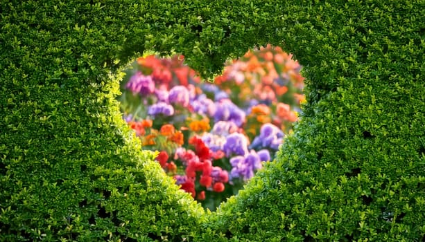 Privacy protection with a privet hedge, which still allows a view to the next door in the shape of a heart.