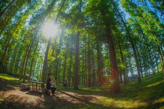 Metasekoya Forest (Mizumoto Park). Shooting Location: Katsushika-ku, Tokyo