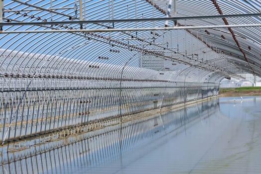constructed from metal pipes agriculture greenhouse vegetable growing