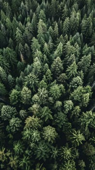 Lush evergreen forests providing year-round shelter