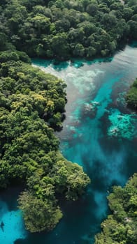 Tranquil lagoons surrounded by lush mangrove forests