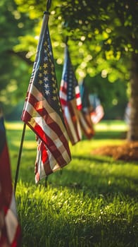 Veterans Day salutes and American flags