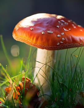 mushroom in the grass, AI generated image