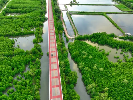 Aerial drone view of a concrete road cutting through a lush green mangrove forest, Mangroves capturing CO2 and serving as a natural carbon sink within the blue carbon ecosystem for net zero emissions