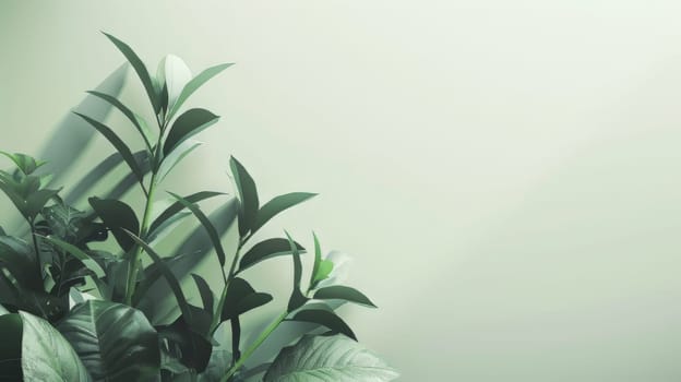 Clean and simple backdrop with clear area for text overlay