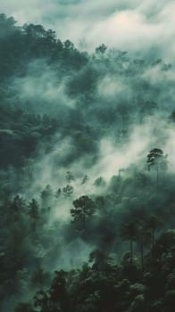 Ethereal cloud forests shrouded in mist