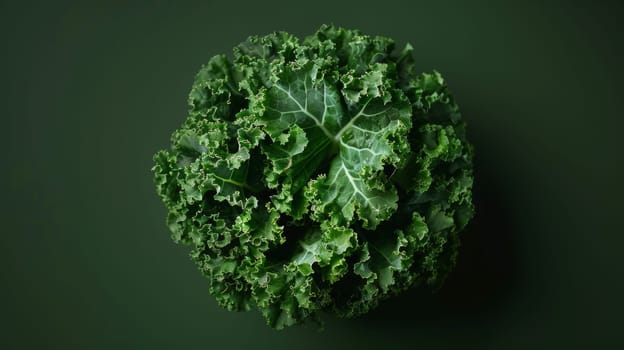 Minimalist shot of a spinning slice of kale
