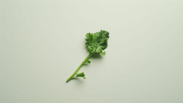 Minimalistic spin of a single piece of turnip greens