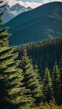 Majestic mountains tower over a serene spruce forest beneath a dramatic sky, showcasing nature beauty at dusk. Towering mountains with rolling hills and moody sky highlighting peaceful wilderness. AI.